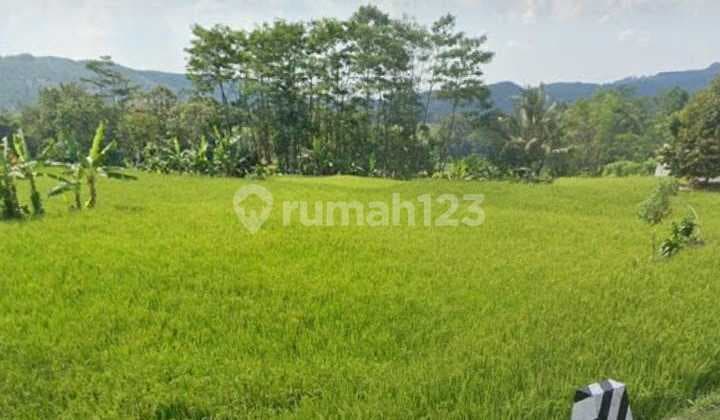 Tanah Untuk Usaha Atau Rumah Dan Kantor Pinggir Jalan Sagalaheang
