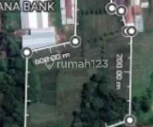 Tanah Pinggir Jalan Raya Cinangsi Strategis Bangun Gudang Atau Cluster