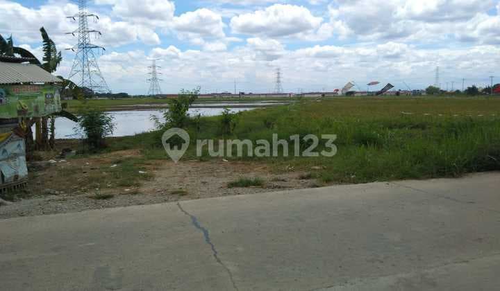 Tanah Untuk Cluster Dan Gudang Pinggir Jalan Sriamur Dekat Gerbang Tol Gabus