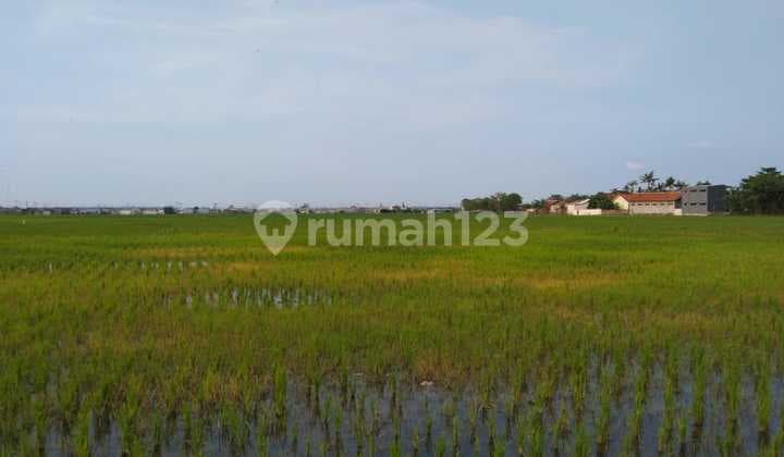 Tanah Untuk Perumahan Cluster Atau Subsidi Pinggir Jalan Raya Kali Cbl