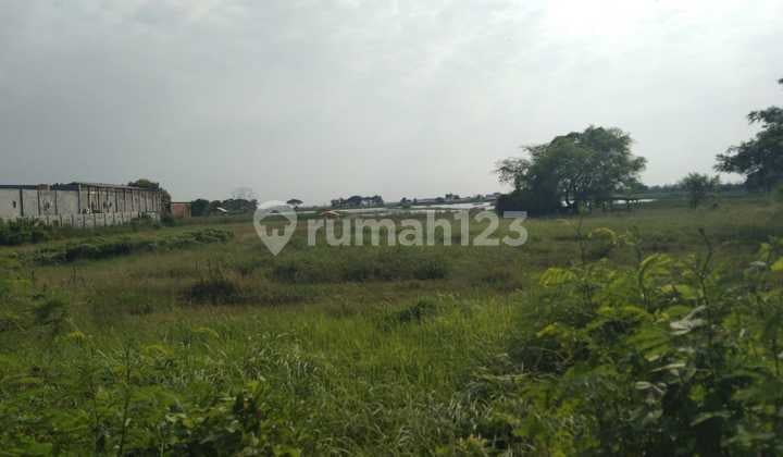 Tanah untuk Indutri di Kawasan Jalan Pantura Losarang Indramayu