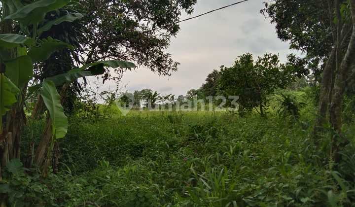 Tanah Industri Pinggir Jalan Susukan Gunungsari Pagaden Dekat Tol