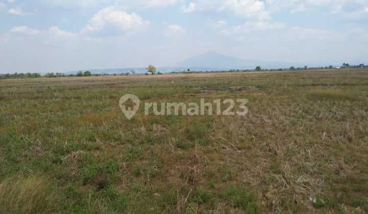Tanah Untuk Kandang Ayam Dan Pertanian Pinggir Jalan Blok Ampera Mekarjaya Gantar