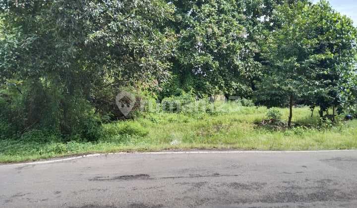 Tanah Industri Pinggir Jalan Subang Cikamurang Blok Mekarwaru