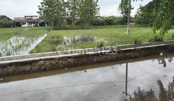 Tanah Strategis Pinggir Jalan Syeh Quro Telagasari Cocok untuk Usaha