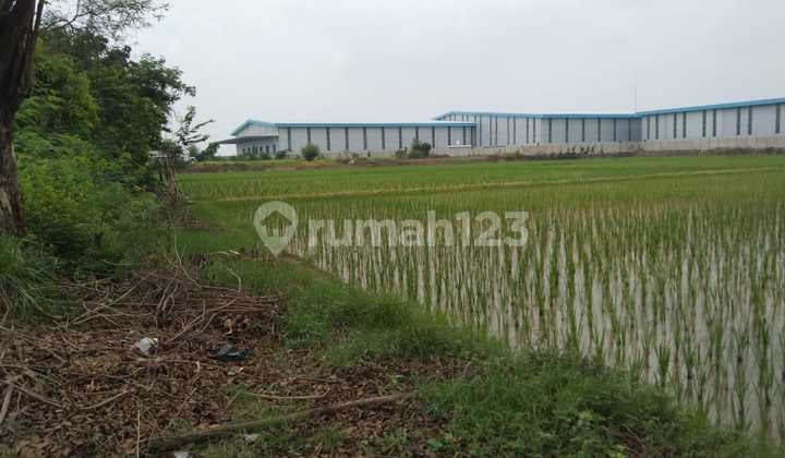 Tanah Cocok Bangun Gudang Strategis Pinggir Jalan Lingkar Tanjungpura