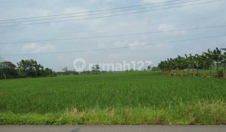 Tanah Pinggir Jalan Raya Gabuswetan Buat Ruang Usaha Atau Gudang