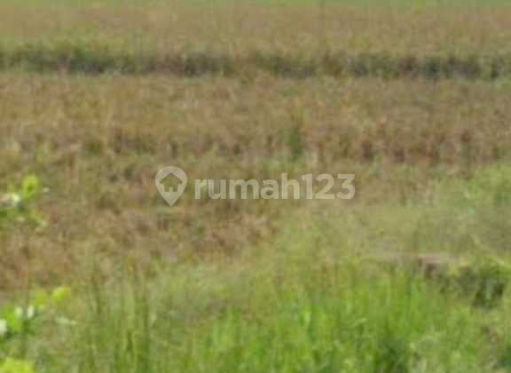 Tanah Strategis Bangun Perumahan Pinggir Jalan Veteran Dekat Tol