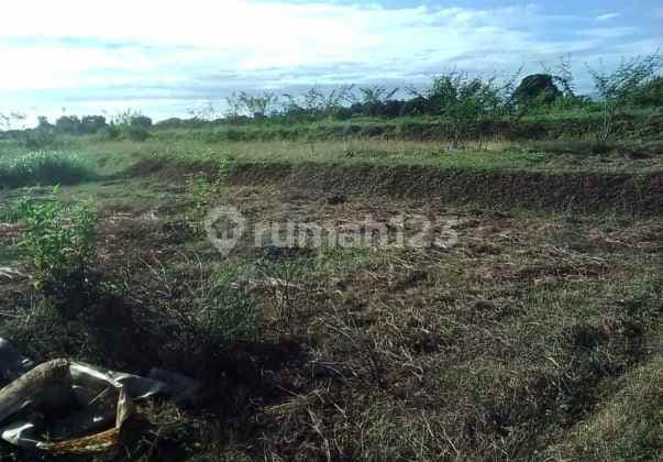 Tanah Peruntukan Industri di Kawasan Padaasih Cibogo Subang