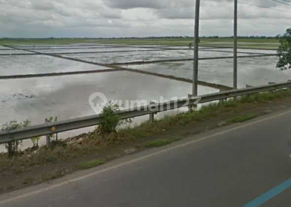 Tanah Untuk Bangun Gudang Pinggir Jalan Pantura Sukasari