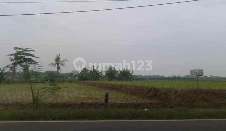 Tanah Untuk Bangun Gudang Atau Ruang Usaha Pinggir Jalan Raya Binong Subang