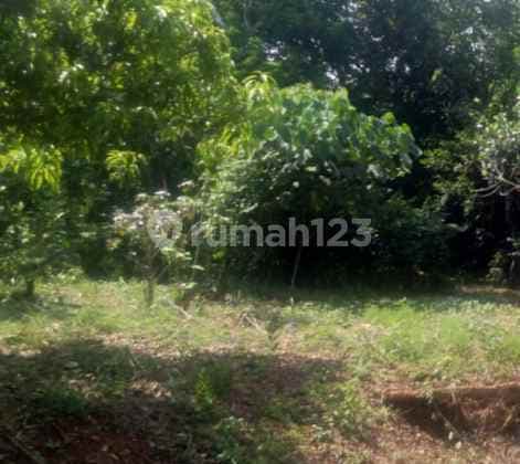 Land for Garden or Villa House Near Subang City Center