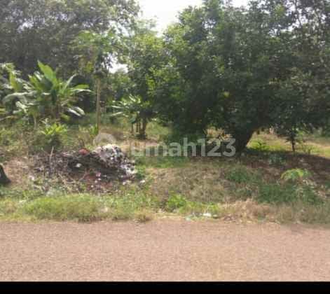 Industrial Land for Construction by the Roadside Near Kalijati Toll Gate, Subang.