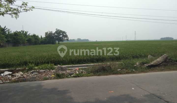 Tanah Untuk Usaha Atau Gudang Pinggir Jalan Jalan Syeh Quro Majalaya Karawang