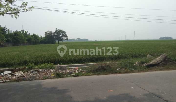 Tanah Untuk Usaha Atau Gudang Pinggir Jalan Jalan Syeh Quro Majalaya Karawang