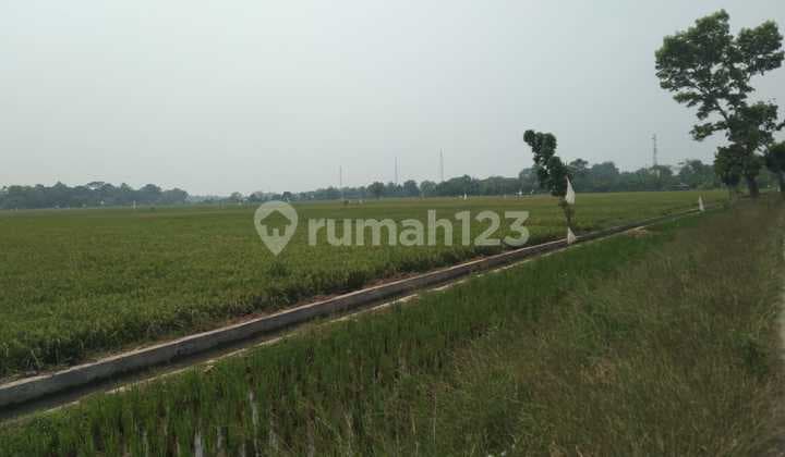 Tanah Untuk Usaha Atau Gudang Pinggir Jalan Jalan Syeh Quro Majalaya