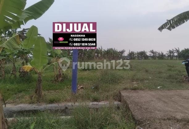 Tanah Untuk Gudang Atau Pabrik Pinggir Jalan Lempuyang Plawangan Anjatan Indramayu
