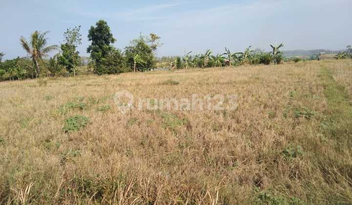 Tanah Untuk Industri Atau Gudang Pinggir Jalan Gantar Bantarhuni