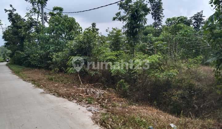 Land for Building Warehouses or Housing in the Warehouse Zone of Sembung Village.