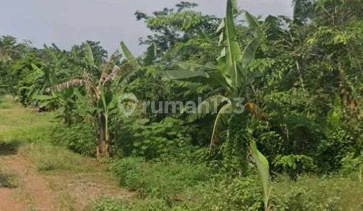 Tanah Kavling Untuk Bangun Kontrakan Atau Rumah Nyaman Strategis Dekat Unsub Subang Tanah Kavling Untuk Bangun Kontrakan Atau Rumah Nyaman Strategis Dekat Unsub Subang