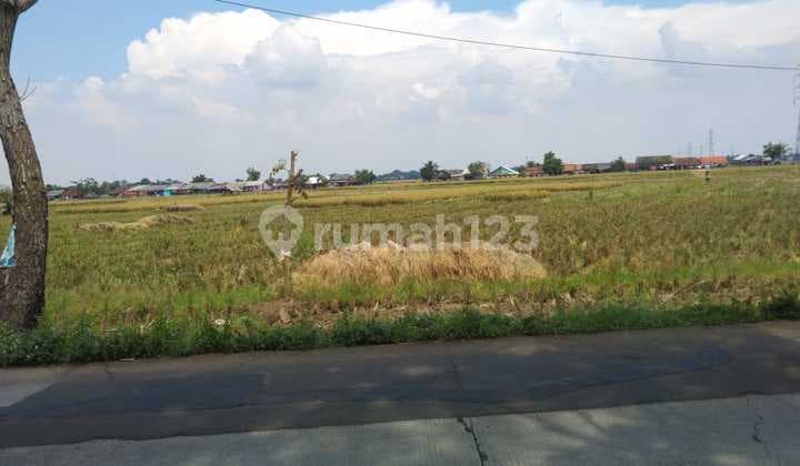 Tanah Untuk Bangun Usaha Dan Gudang Pinggir Jalan Syeh Quro Majalaya