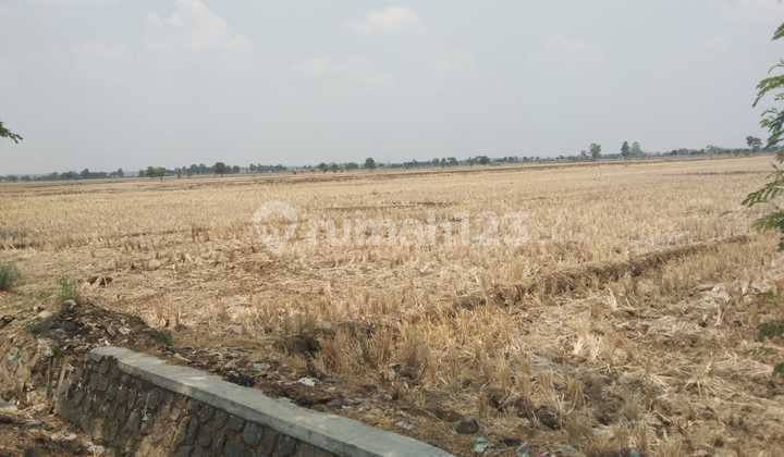 Tanah Untuk Industri Atau Gudang Pinggir Jalan Jatitujuh Tukdana Majalengka