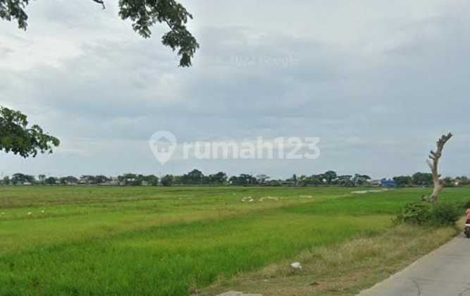 Tanah untuk Gudang atau Pool Mobil serta Perumahan Dekat Jalan Pantura Patrol