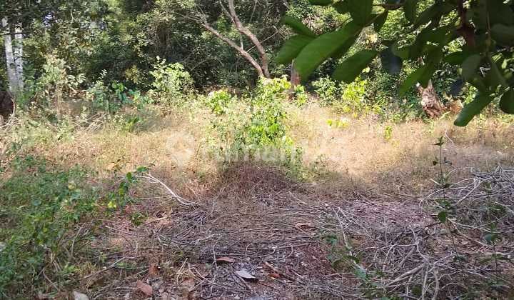 Tanah Industri Dan Gudang Pinggir Jalan Boreas Dekat Gerbang Tol Kalijati Subang