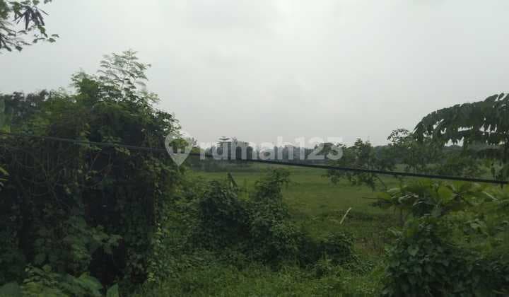 Tanah Untuk Industri Dan Gudang Pinggir Jalan Raya Serang Cibarusah Bekasi