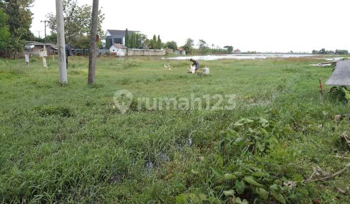 Tanah Pinggir Jalan Raya Anjatan Strategis Bangun Ruang Usaha Atau Gudang