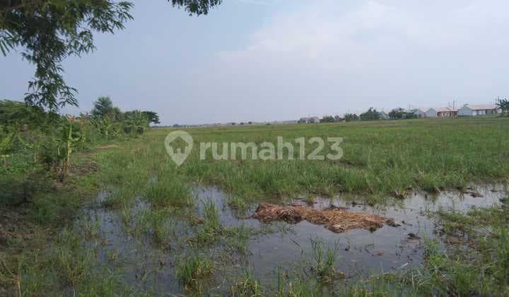 Tanah Untuk Bangun Perumahan Subsidi di Jalan Sukamanah Sukahurip
