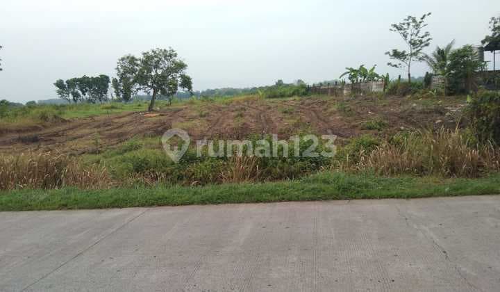 Tanah Industri Dan Gudang Atau Pool Kendaraan Pinggir Jalan Raya Subang Cikamurang Desa Sanca Indramayu