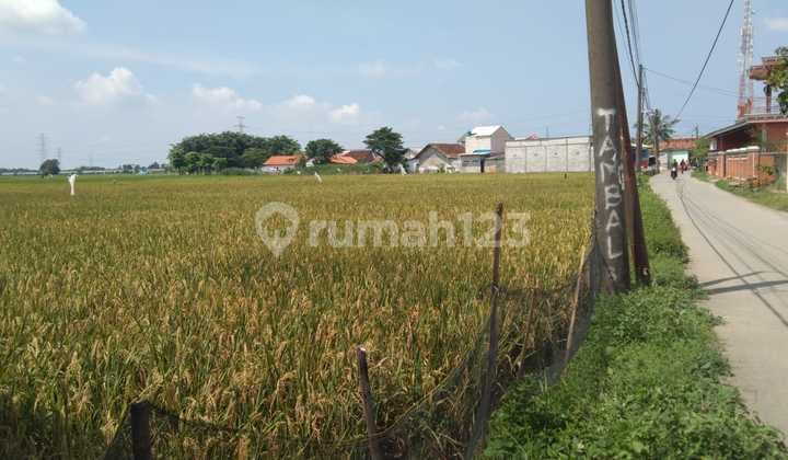 Tanah Untuk Perumahan Subsidi Pinggir Jalan Srimukti Dekat Gerbang Tol Gabus Tambun Utara