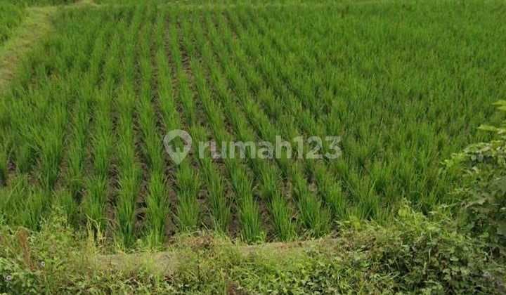 Tanah Industri Pinggir Jalan Industri Padaasih Cibogo Subang