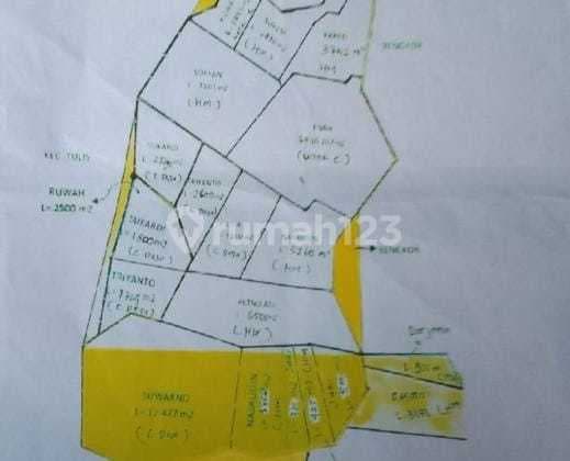 Tanah Untuk Industri Dan Gudang Dekat Jalan Pantura Tulis Batang Jawa Tengah