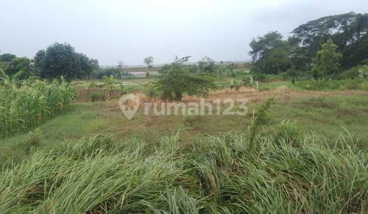 Tanah untuk Perumahan Strategis Pinggir Jalan Raya Parakan Tirtamulya Karawang