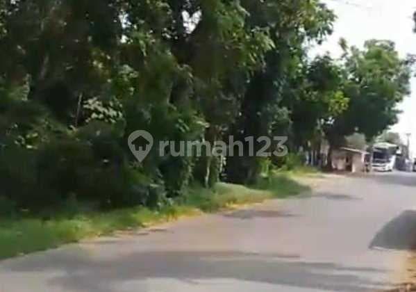 Tanah Strategis untuk Gudang dan Perumahan Pinggir Jalan Kota Subang