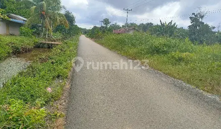 Tanah Untuk Industri Dan Kebun Strategis Dekat Jalan Trans Kalimantan Barat