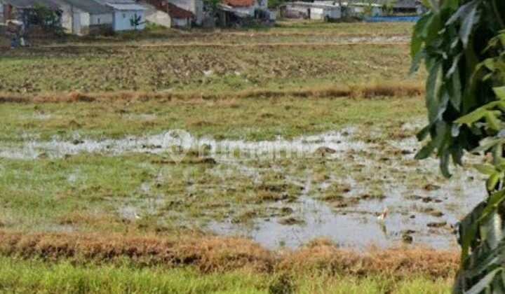 Tanah Untuk Perumahan Atau Gudang Strategis PInggir Jalan Nasional Dekat Kota Indramayu