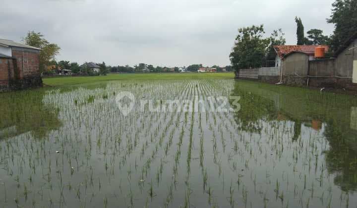Tanah Sawah Untuk Usaha Atau Gudang Pinggir Jalan Pantura Lohbener