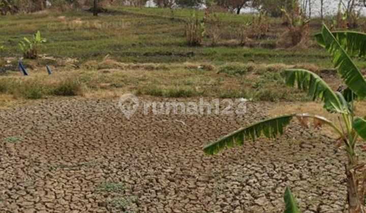 Tanah Insdustri Pinggir Jalan Cikamurang dekat Gerbang Tol Cikedung