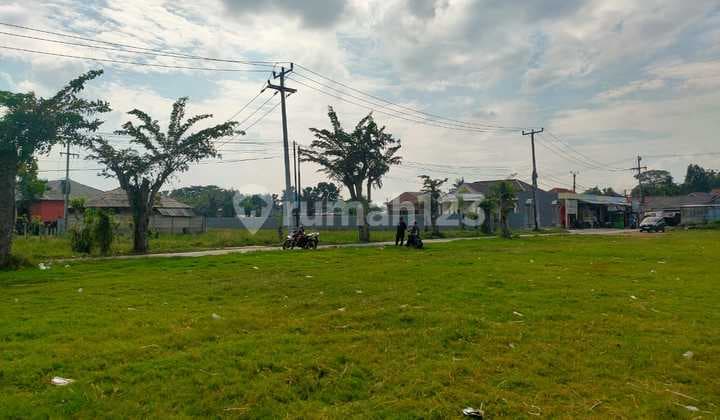 Tanah Untuk Perumahan Subsidi Pinggir Jalan Desa Muktiwari Cibitung Blok Selong