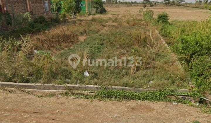Tanah Untuk Ruang Usaha Atau Gudang Pinggir Jalan Pantura Losarang Indramayu
