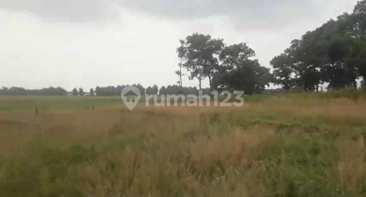 Tanah Industri Padaasih Kecamatann Cibogo dekat Fly Over Tol Subang