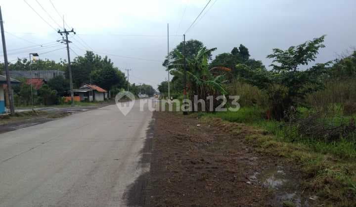 Tanah Untuk Industri Atau Gudang Strategis Pinggir Jalan Raya Subang Cikamurang Desa Cikawung