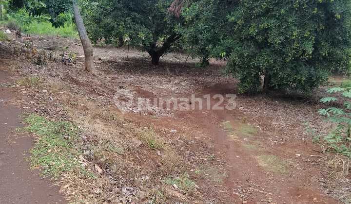 Anah Industri Pinggir Jalan Kaliamgsana Dekat Gerbang Tol Kalijati Subang