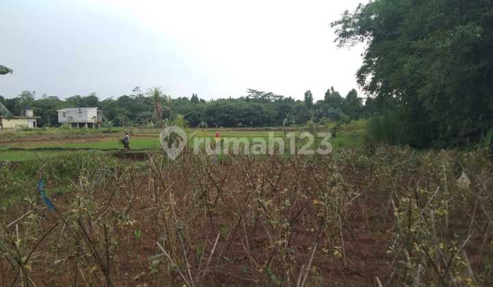 Tanah Perumahan Strategis Pinggir Jalan Kertarahayu Dekat Kawasan Industri MM2100 Cikarang Bekasi