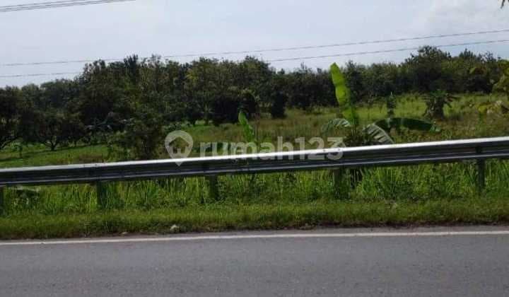 Tanah Industri Kabupaten Sumedang Pinggir Jalan Raya Cirebon Bandung