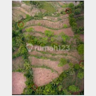 Large and Potential Land Near Pinus Pengger Tourism, Dlingo, Bantul, Yogyakarta