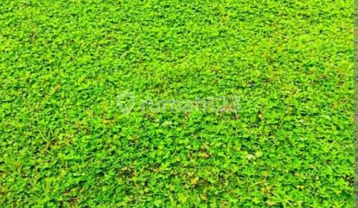 For Sale Golf Peak Citraland Plot For Sale Golf Peak Citraland Plot